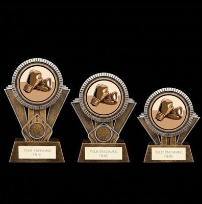 Apex Boxing Award Gold & Silver 130mm