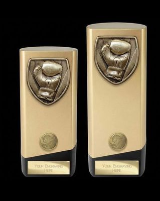 Prime Cobra Boxing Award 160 mm