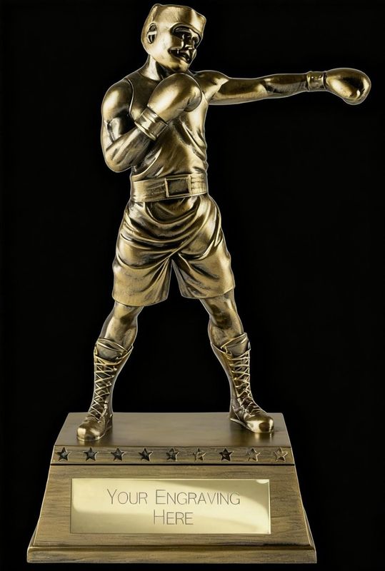The Classic Boxing Award 270 mm