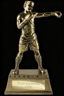 The Classic Boxing Award 270 mm