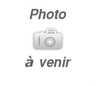 CAMPING-CAR FIAT DUCATO CARIOCA