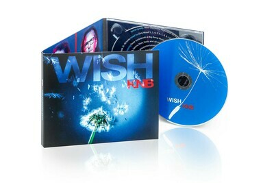 KNB's Second Album Wish. Hard copy CD.