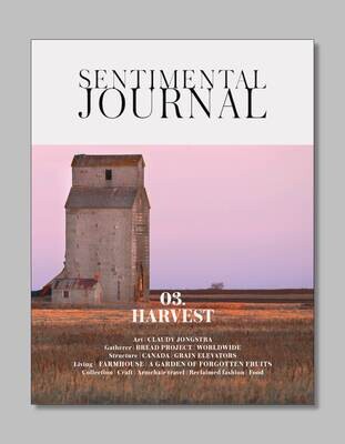SJ 03. HARVEST
