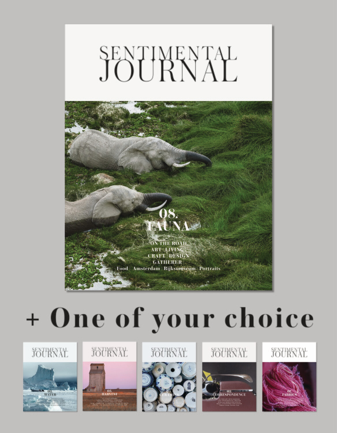 Two magazines of your choice