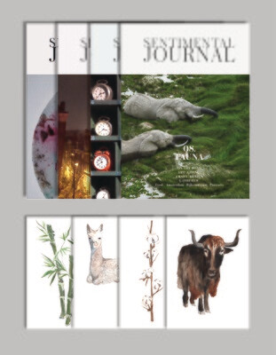 SJ 1-year subscription (4 volumes) + 1 illustration of your choice