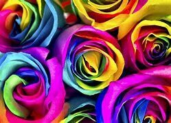 Wild Roses Gift card