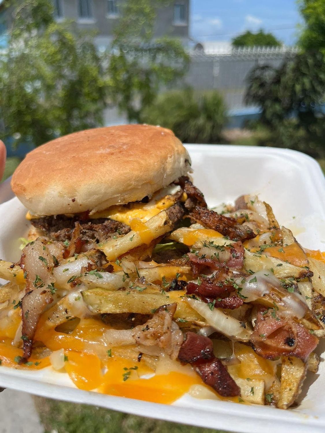 Loaded burger with loaded fries
