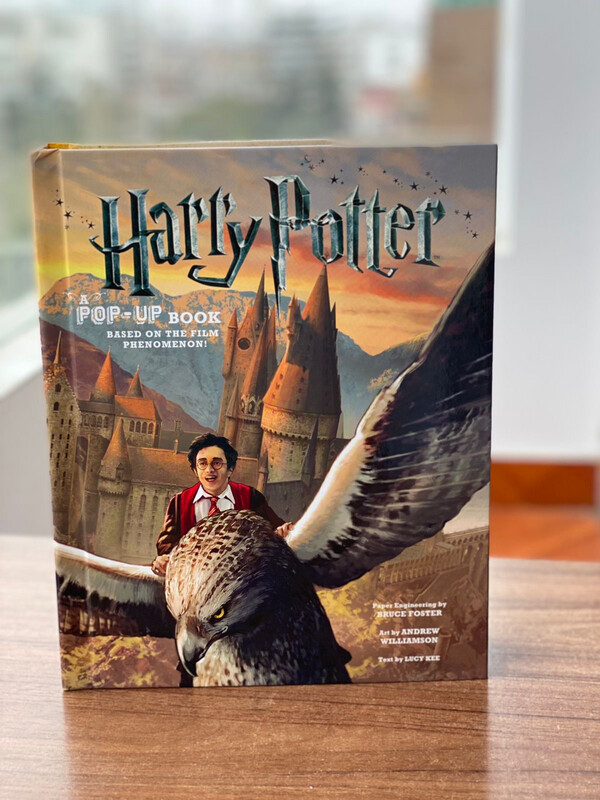 A pop up book Harry Potter ( Edición en inglés) 