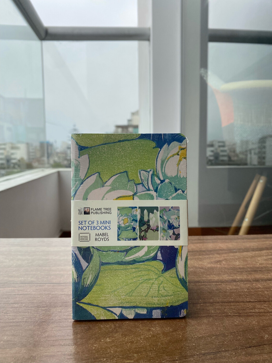 NGS: Mabel Royds Set de 3 Mini Cuadernos