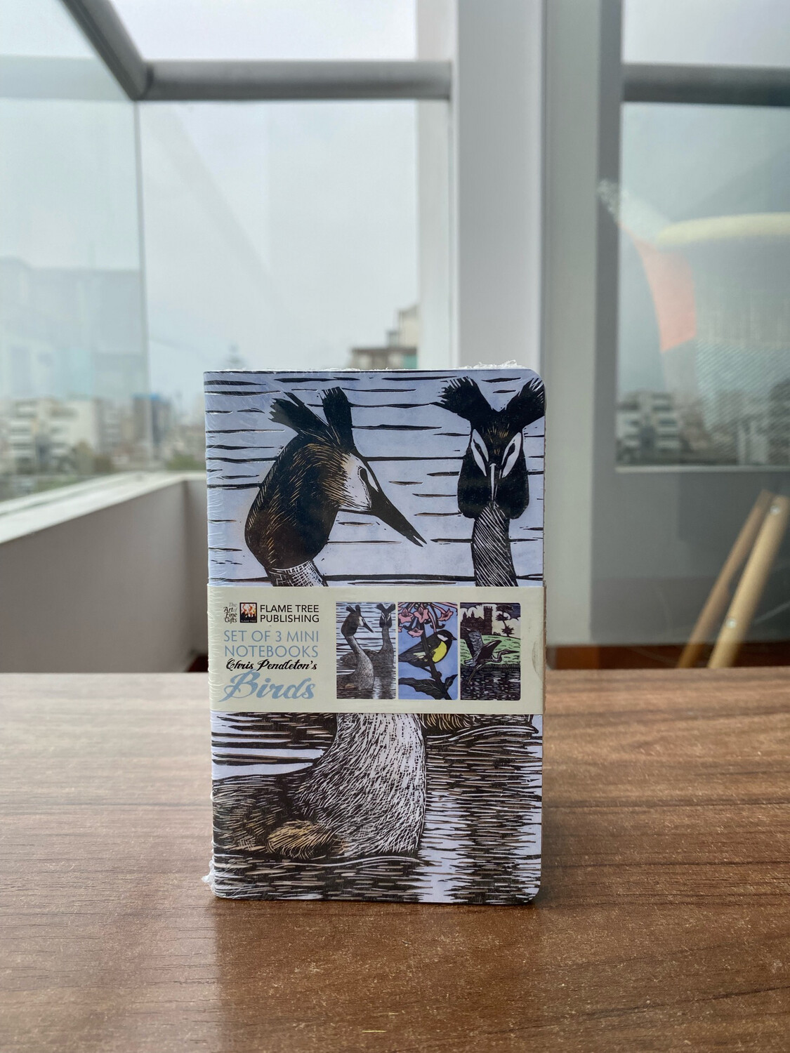 Chris Pendleton Set de 3 Mini Cuadernos