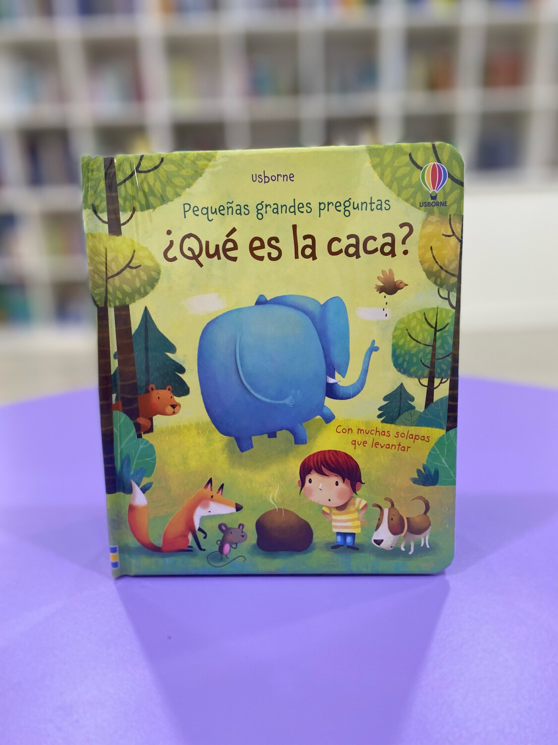 ¿Qué es la caca ?