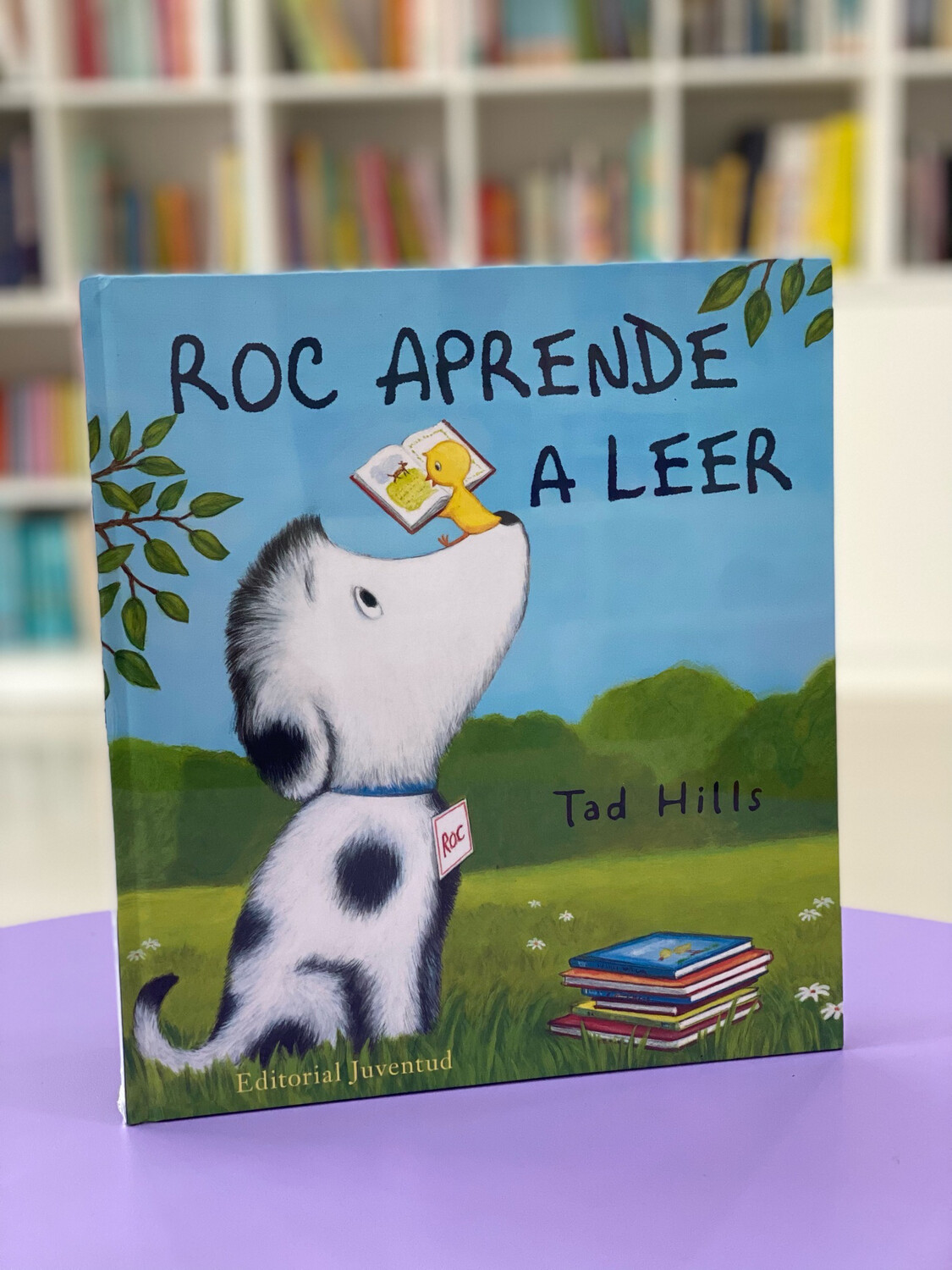 Roc aprende a leer