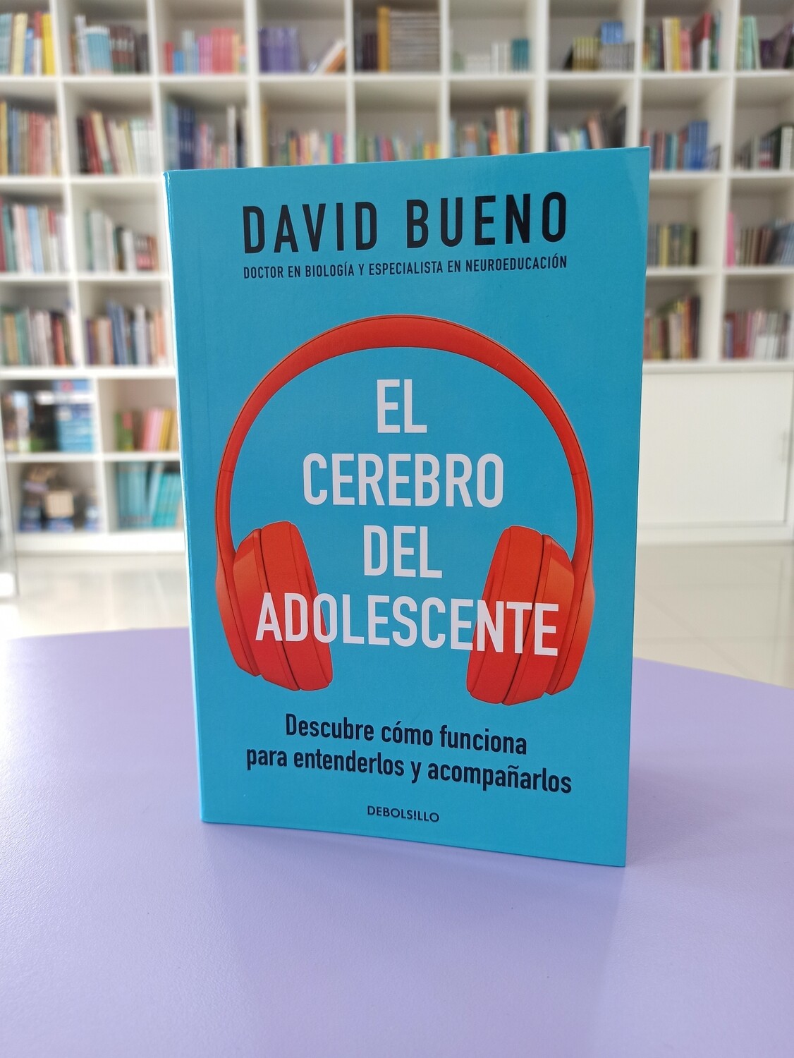El cerebro del adolescente