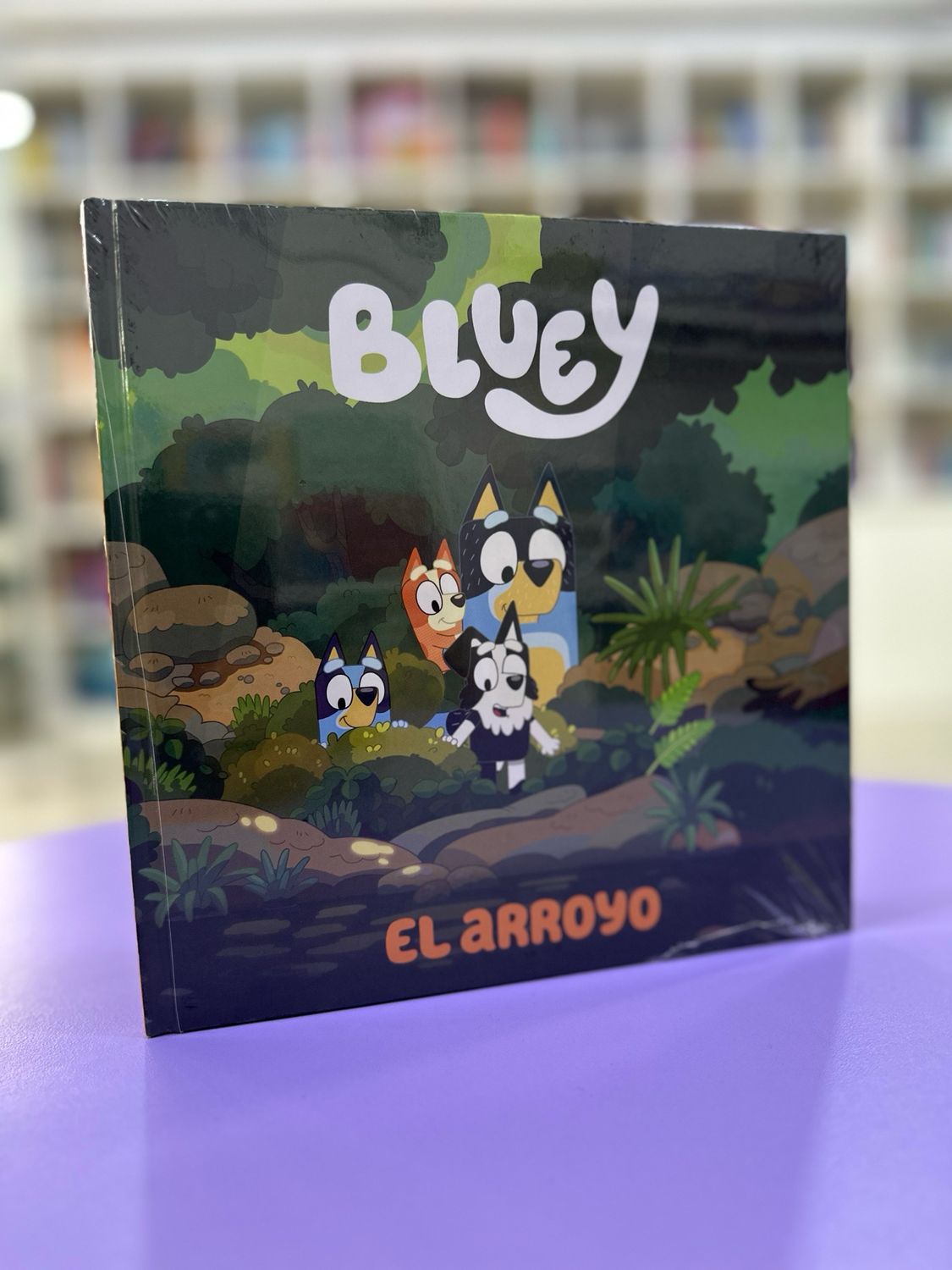 Bluey El arroyo