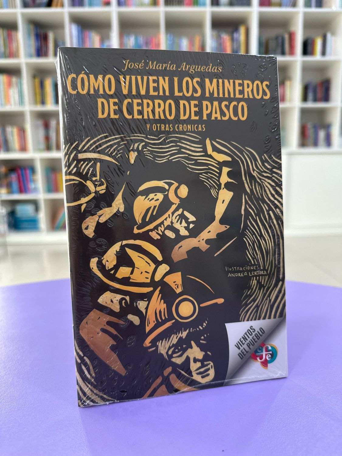 Como viven los mineros de Cerro de Pasco