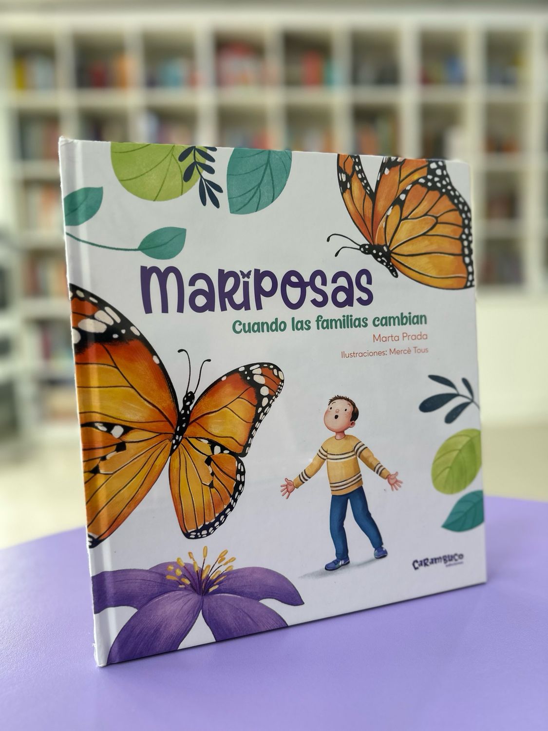 Mariposas cuando las familias cambian