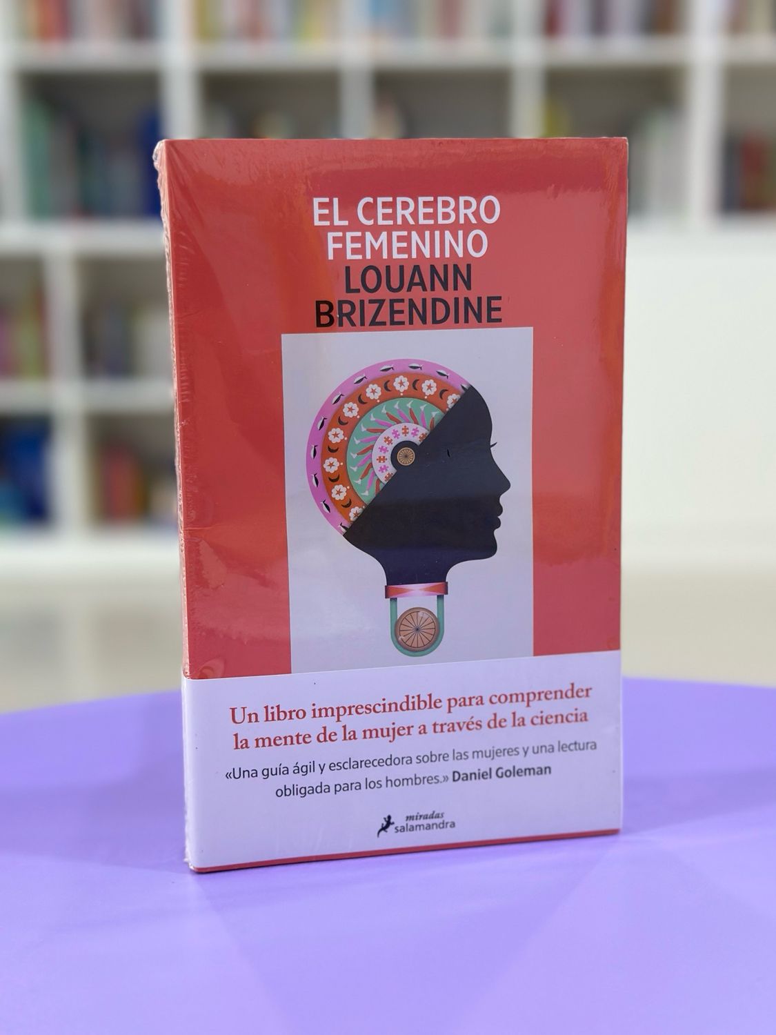 El cerebro femenino