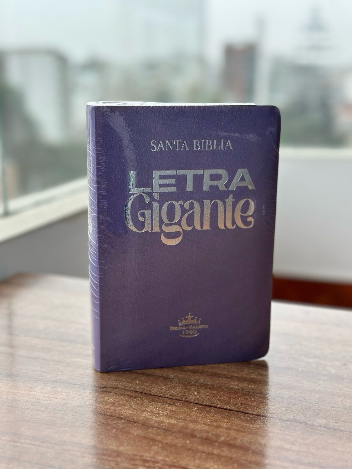 Biblia RVR1960 Letra Gigante