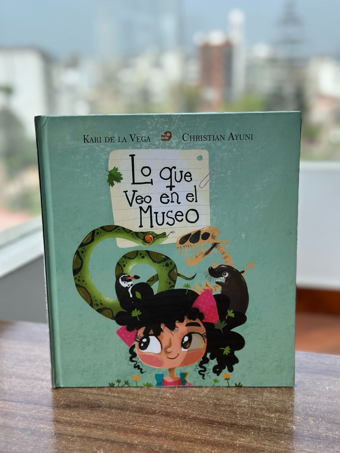 Lo que veo en el museo