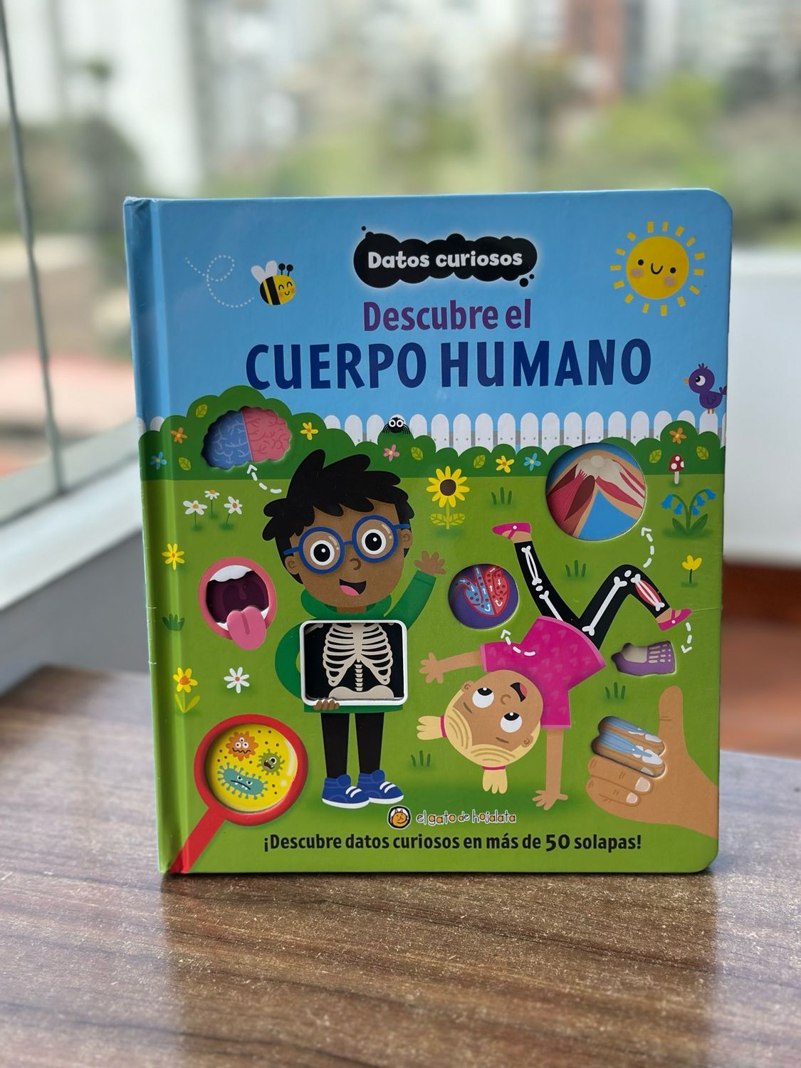 Datos curiosos. Descubre el cuerpo humano