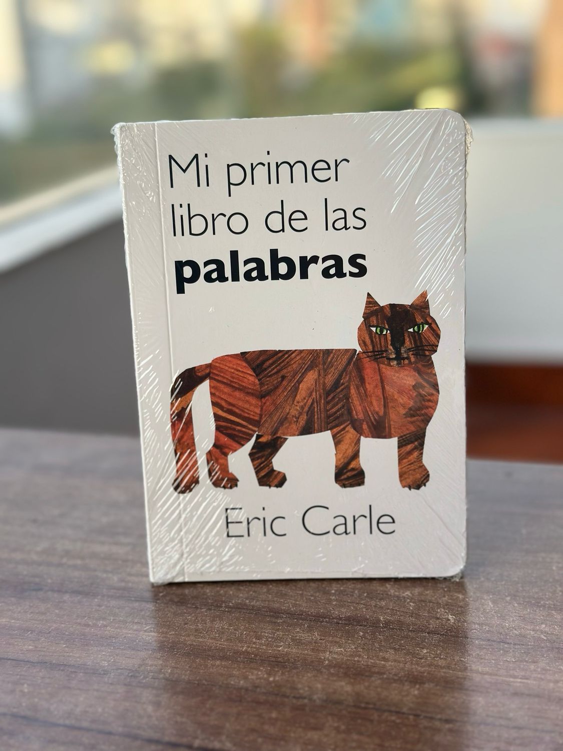 Mi primer libro de las palabras