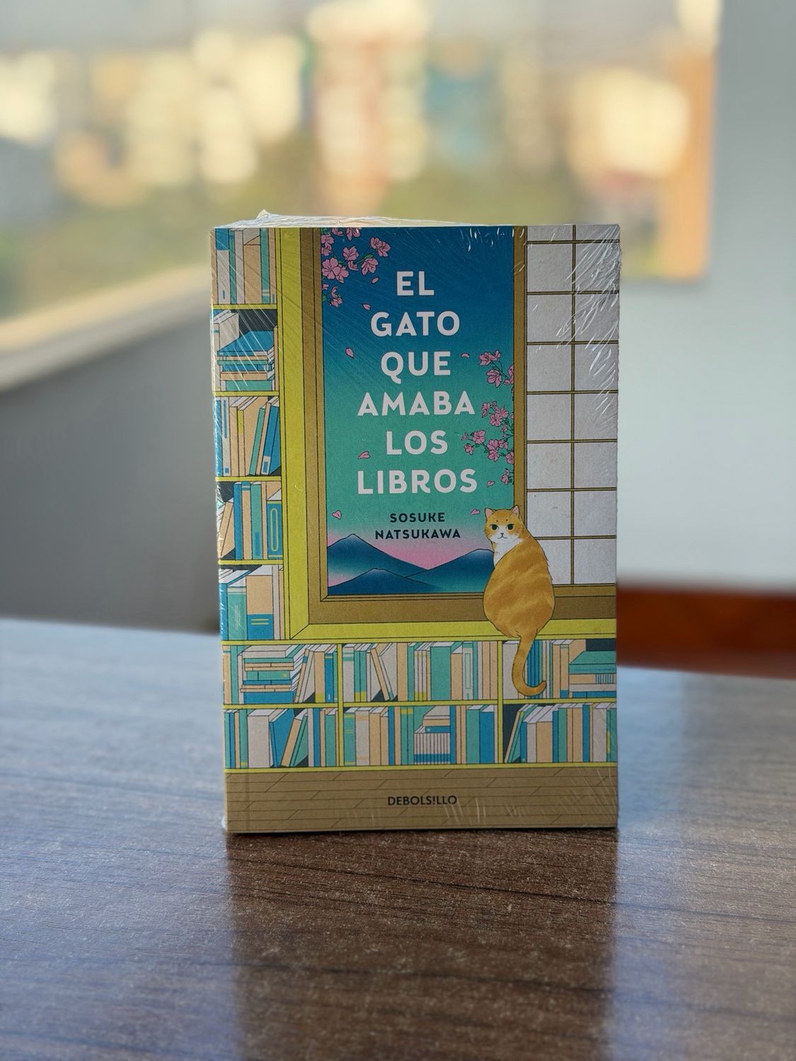 El gato que amaba los libros