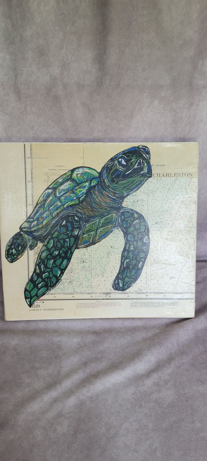Sea turtle &quot; Tuga&quot;