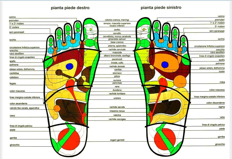 RIFLESSOLOGIA PLANTARE RIFLESSOLOGIA PLANTARE