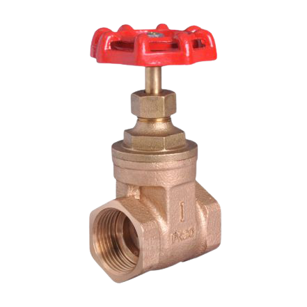3/4" Brass Gate Valve BSP - PN20