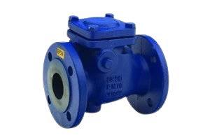 5"Cast Iron Flanged Swing Check Valve - S/Steel Seat