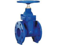 2 1/2" Gate Valve Flanged PN16