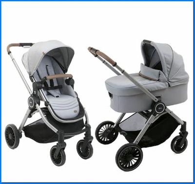 Chicco Trio Best Friend Comfort Silverleaf, 0+