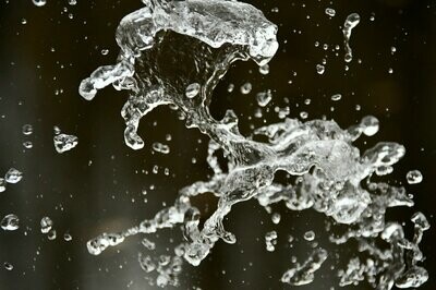 EAUX FLORALES