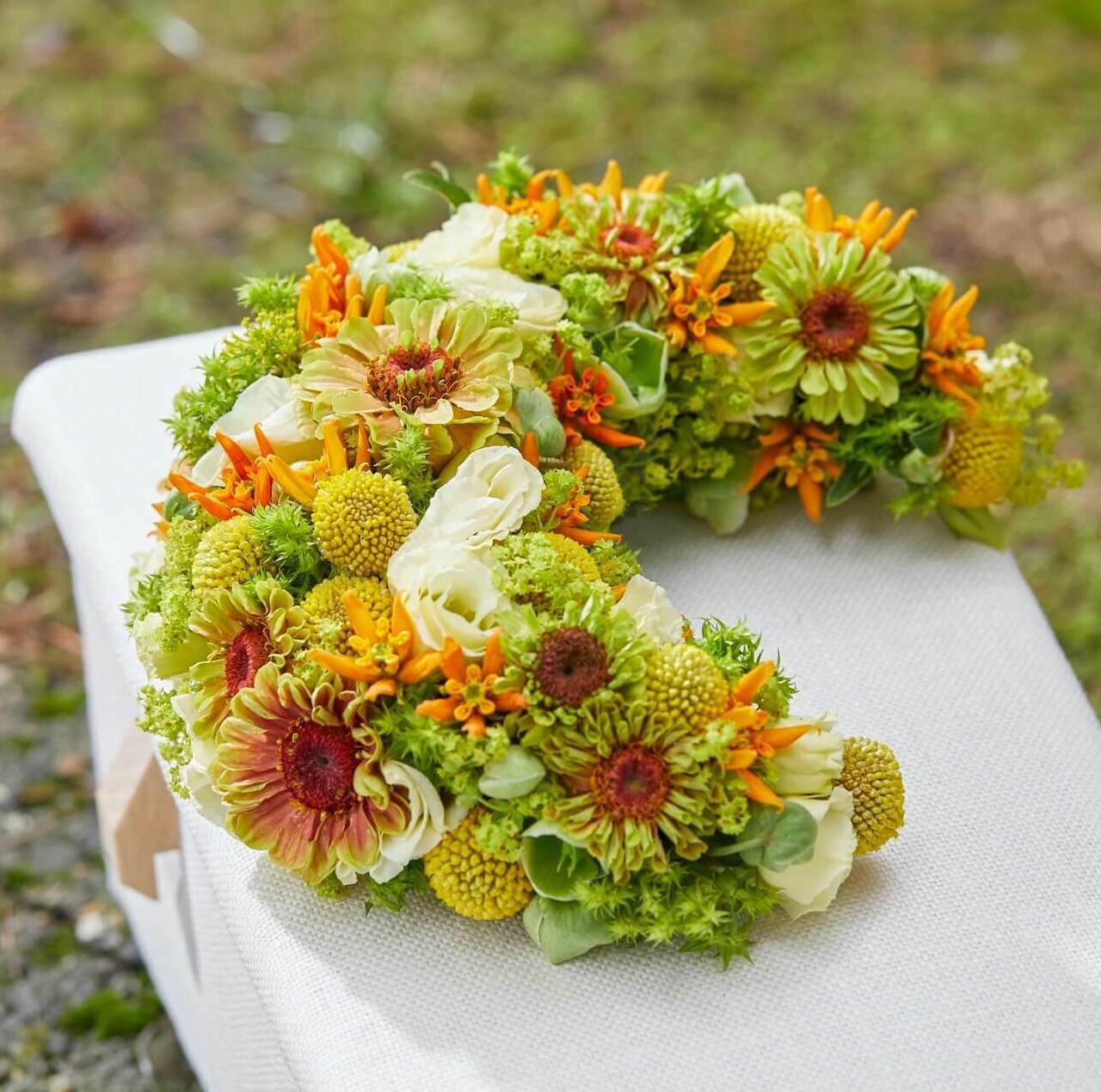 Tot de maan en terug