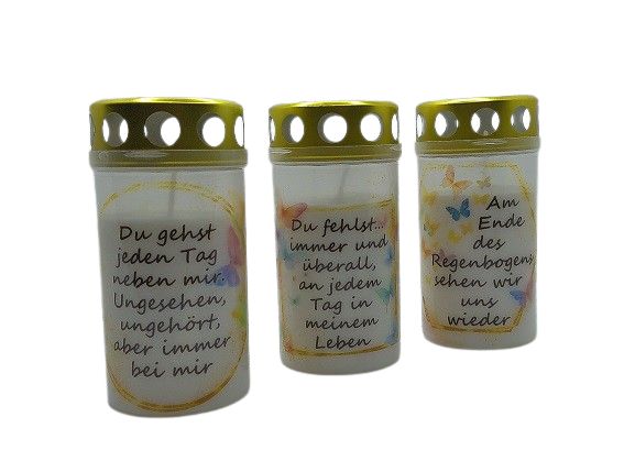 RegenbogenSCHMETTERLINGE *78* RegenbogenSCHMETTERLINGE *78*