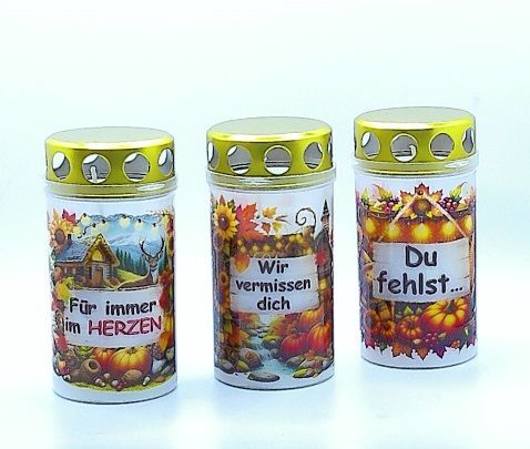 Herbstlicht *H6* Herbstlicht *H6*