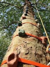 Baum - Klettergriffe
