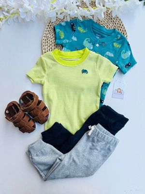 Set 4 piezas carters, 2 bodys camaleón + 2 pantaloncitos, 18 meses