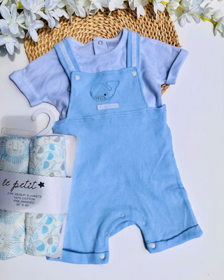 Overall + camiseta, 9 a 12m