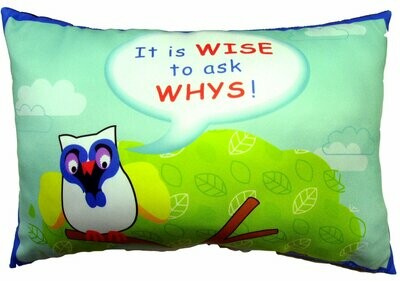 Cuddle Me Happy Cushion - Wise to ask Whys