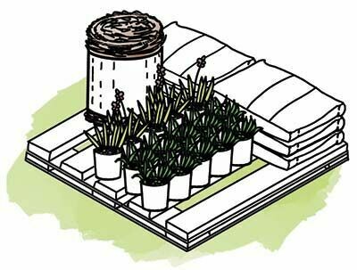 DIY Rain Garden Kit - Medium