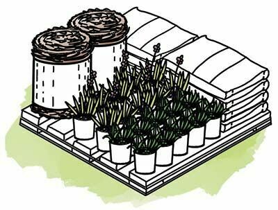 DIY Rain Garden Kit - Large