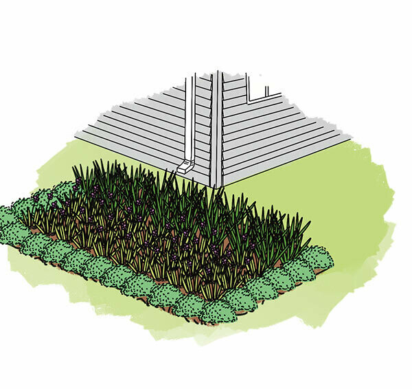 Professionally Installed Rain Garden - Medium