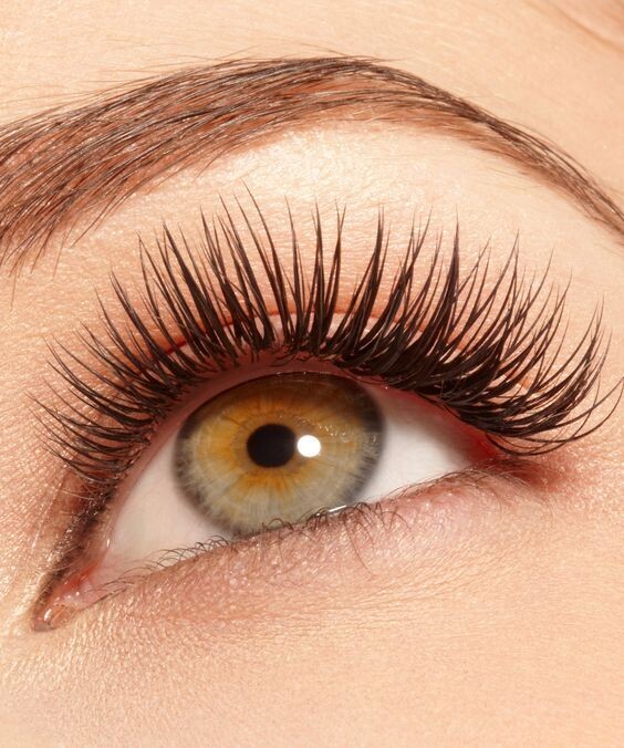 Tint + permanent de pestanyes