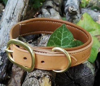 Collier pour chien doublé