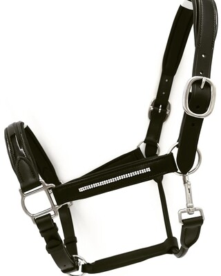 Licol d&#39;exception