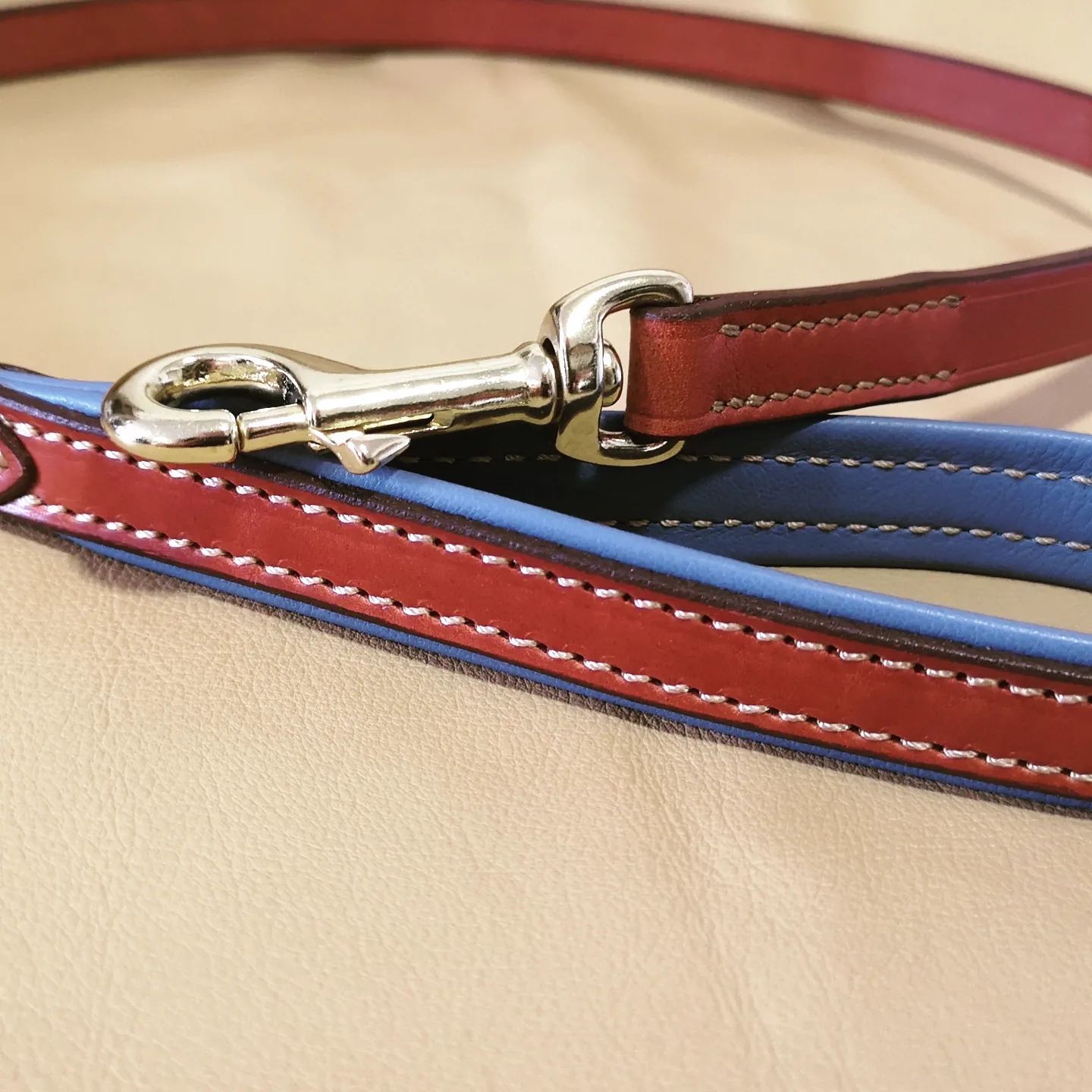 Laisse en cuir  confort - 1m