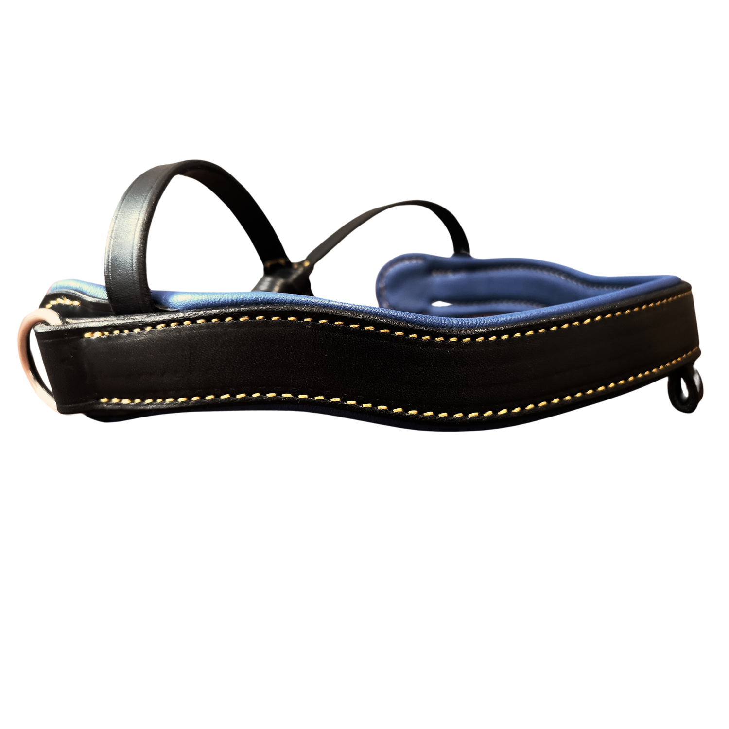 Muserolle échancrée