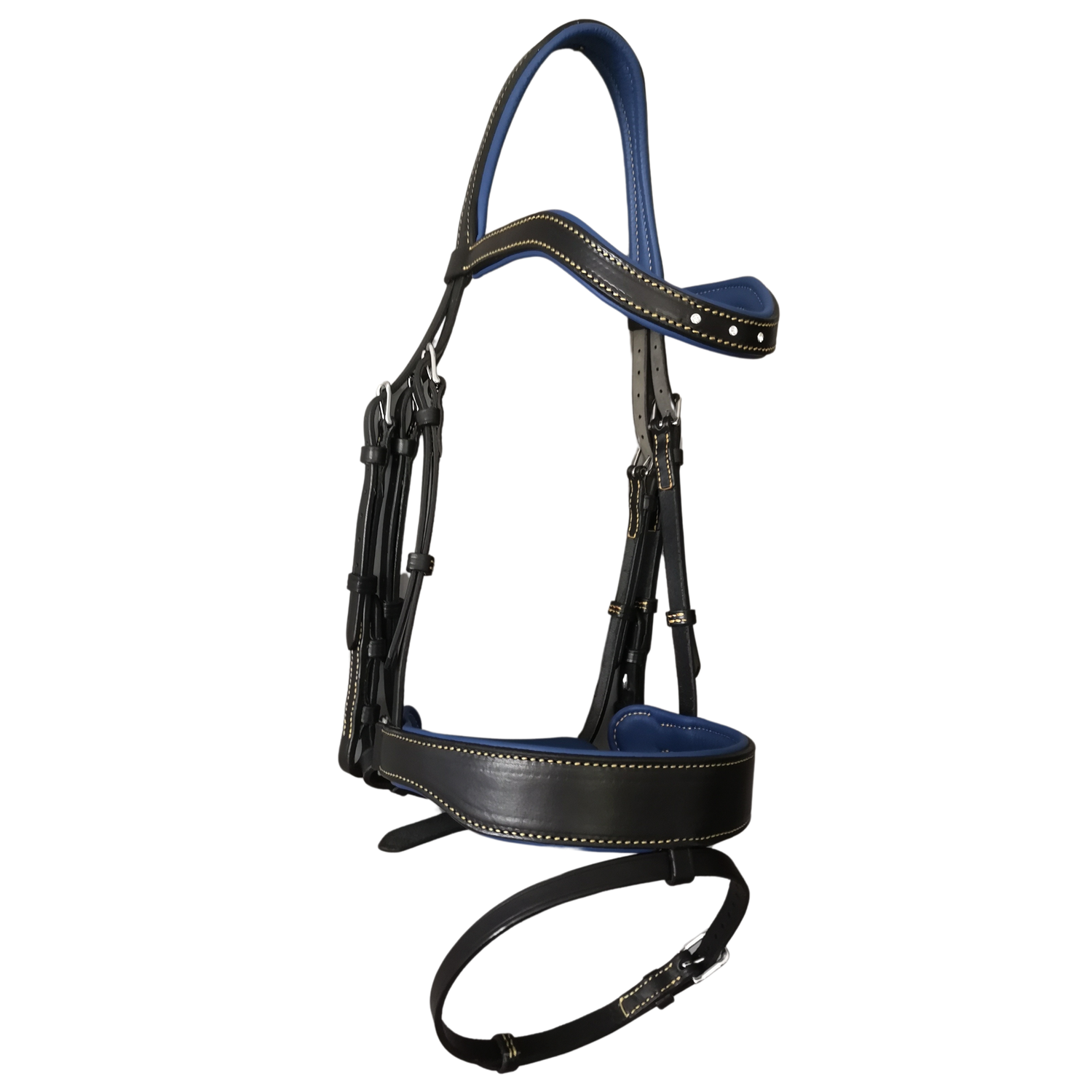 Expertise complète : Ergonomie + Bridon inclus
