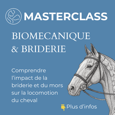 MASTERCLASS : BIOMECANIQUE ET BRIDERIE MASTERCLASS : BIOMECANIQUE ET BRIDERIE